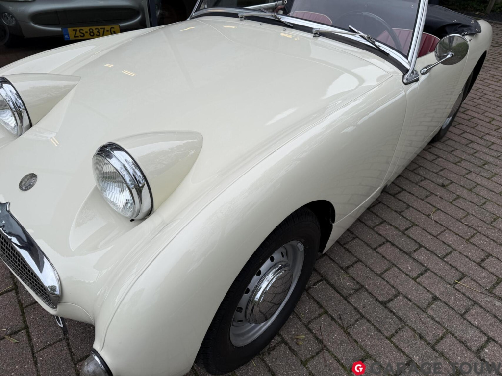 Austin Healey Onbekend