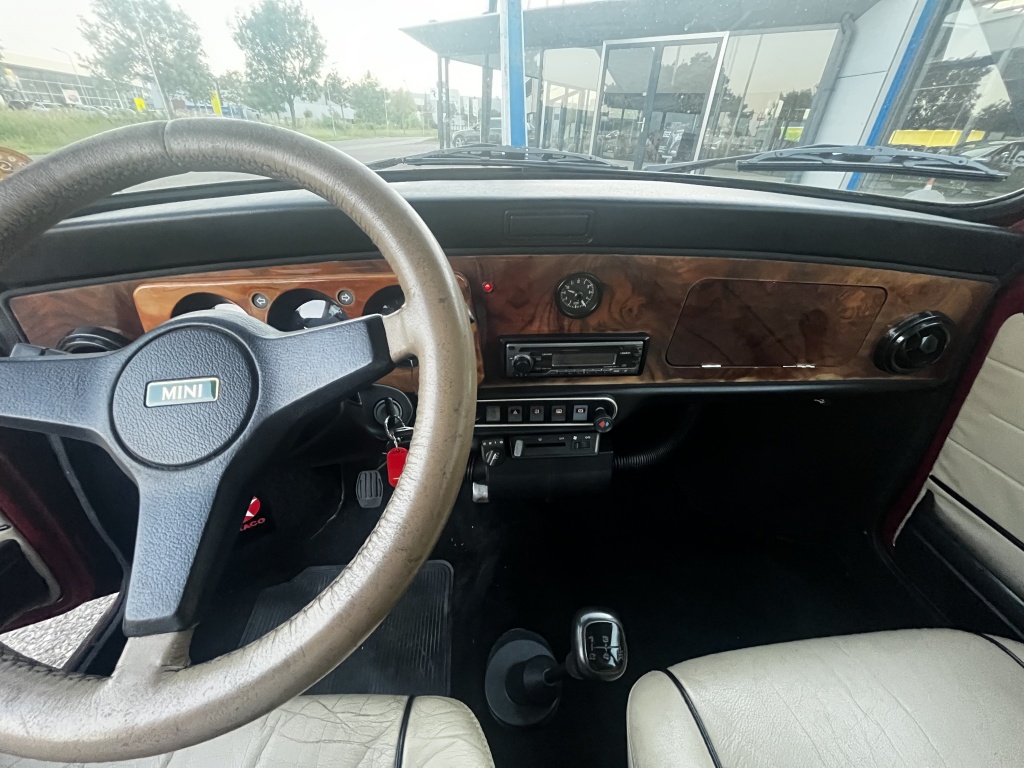 Mini Mini