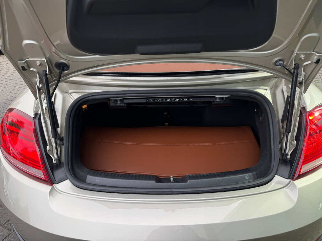 Volkswagen New Beetle