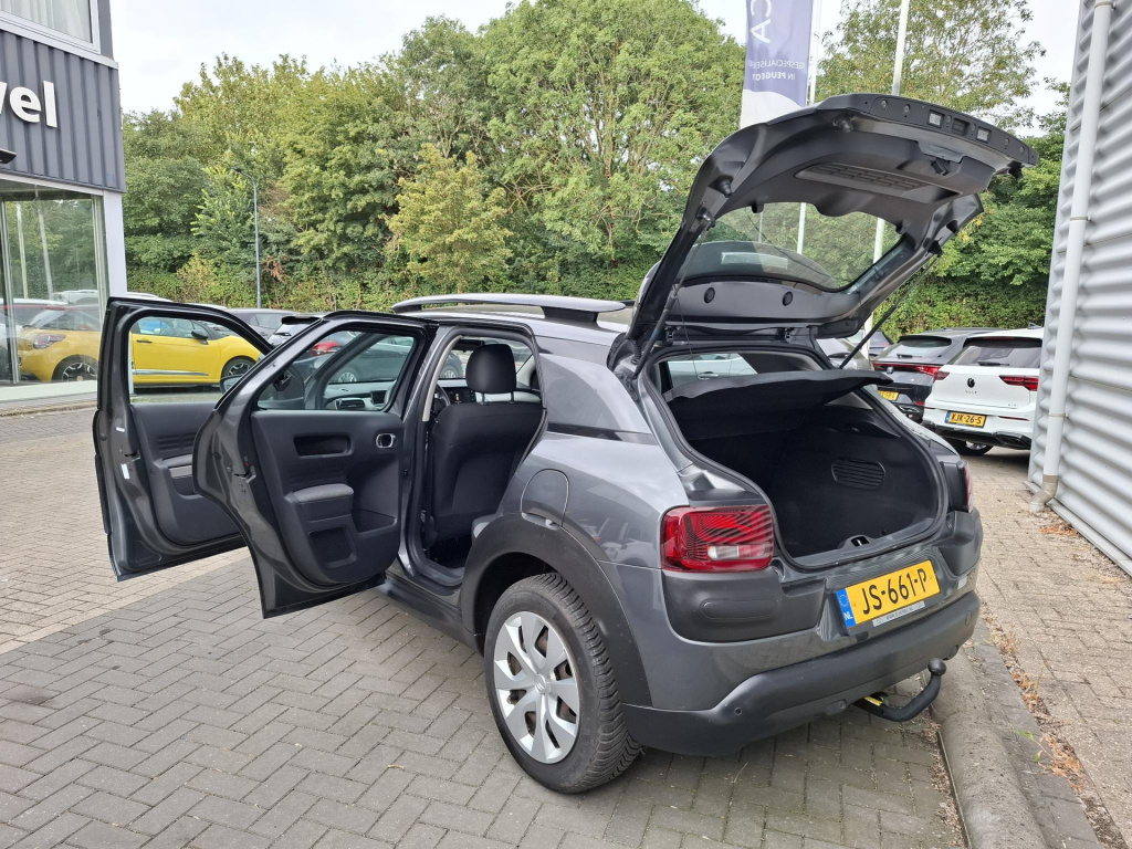 Citroen C4 Cactus