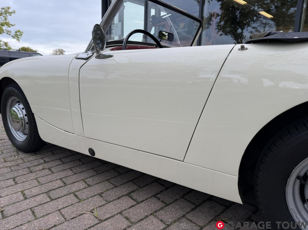 Austin Healey Onbekend