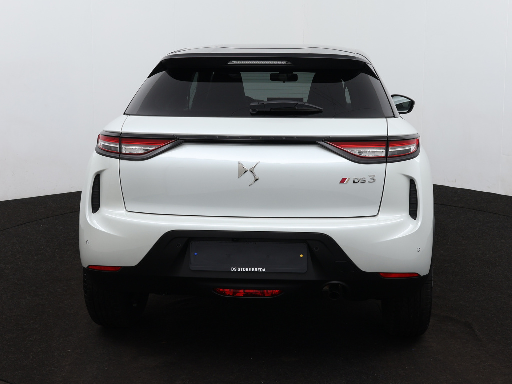 Ds Ds 3