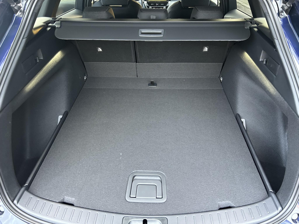 Suzuki Swace