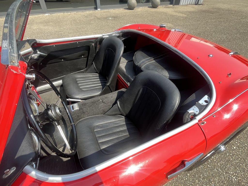 Austin Healey Onbekend