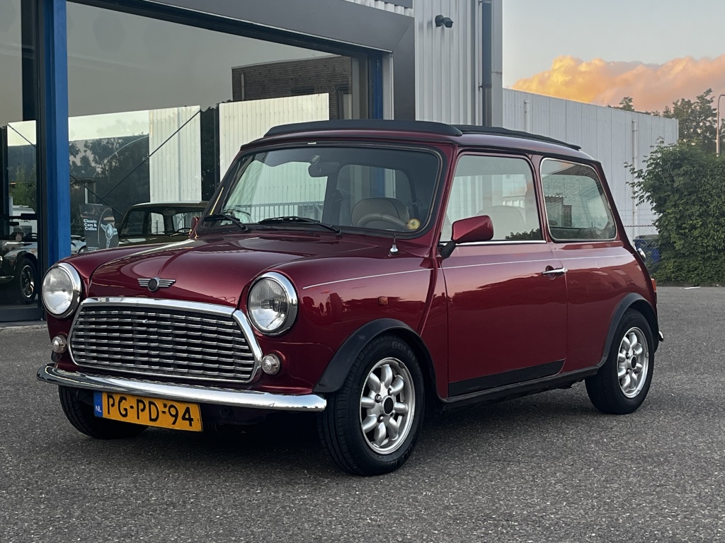 Mini Mini
