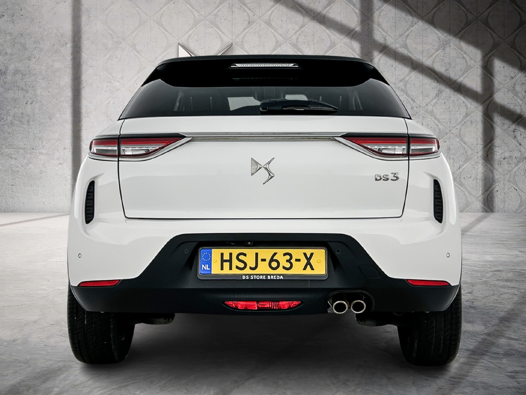 Ds Ds 3