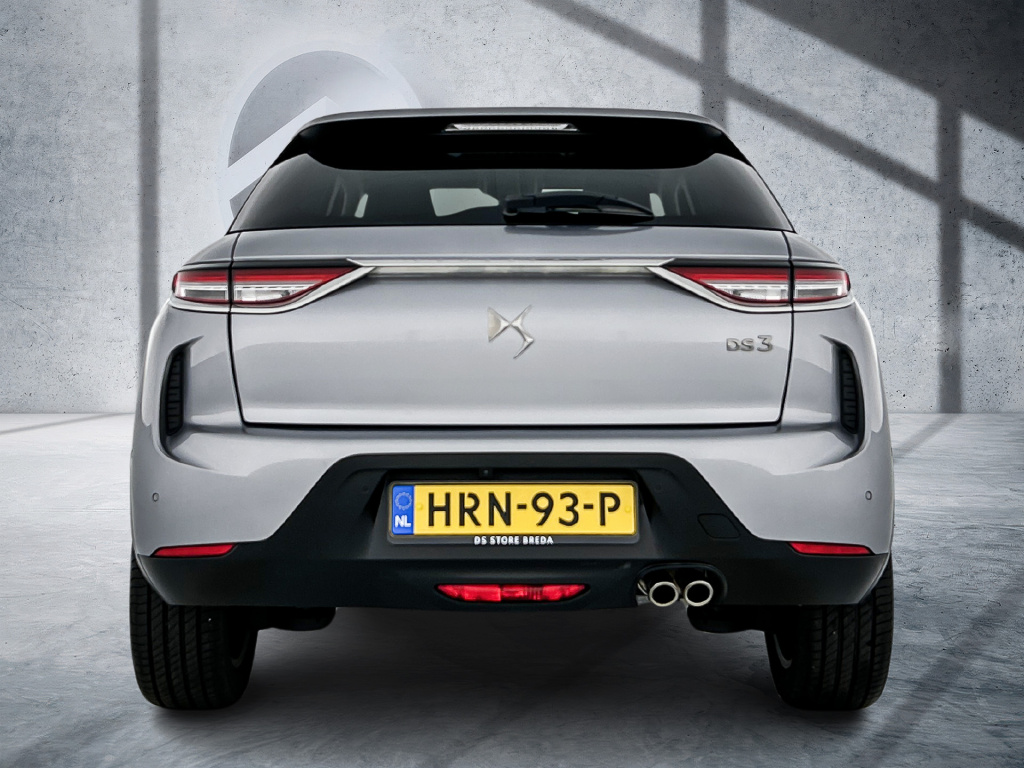 Ds Ds 3
