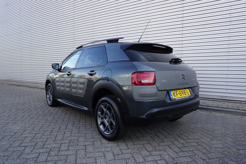 Citroen C4 Cactus