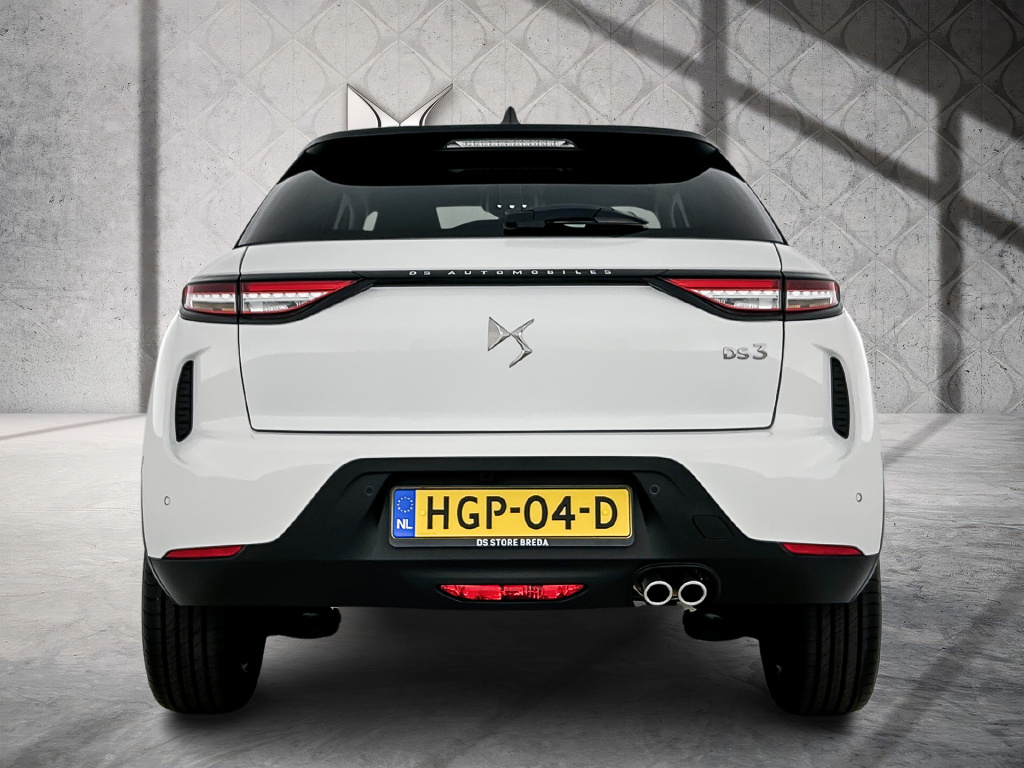 Ds Ds 3