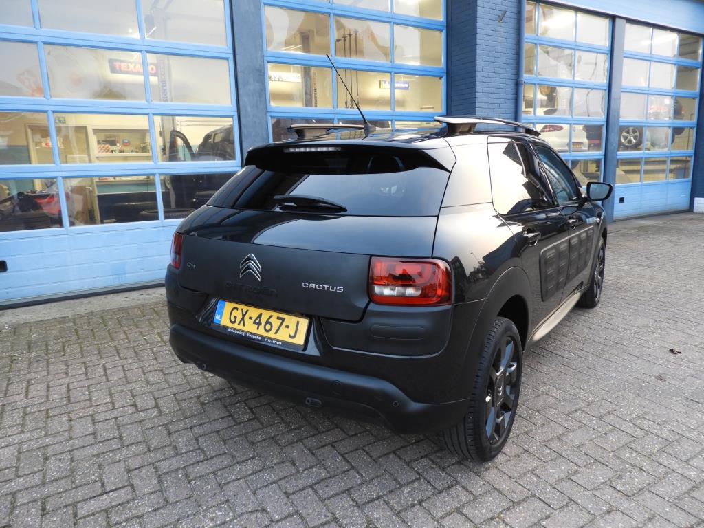 Citroen C4 Cactus