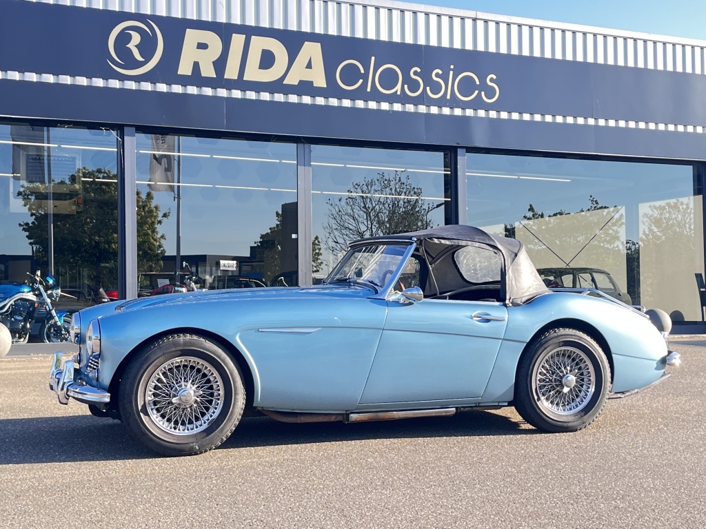 Austin Healey Onbekend