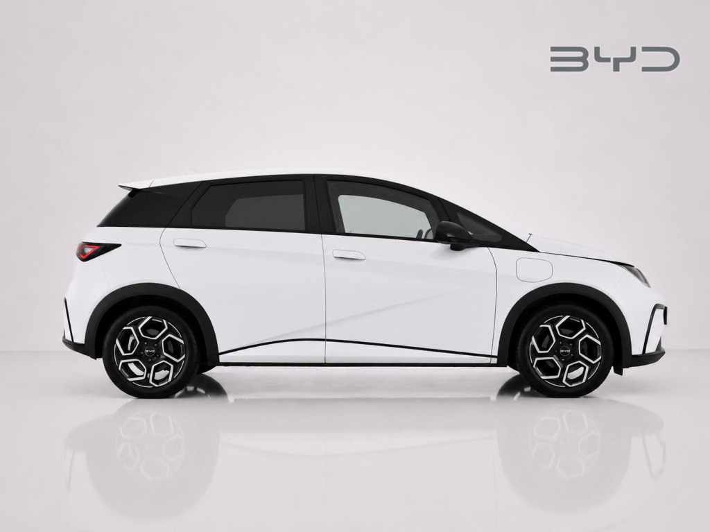 Byd Dolphin