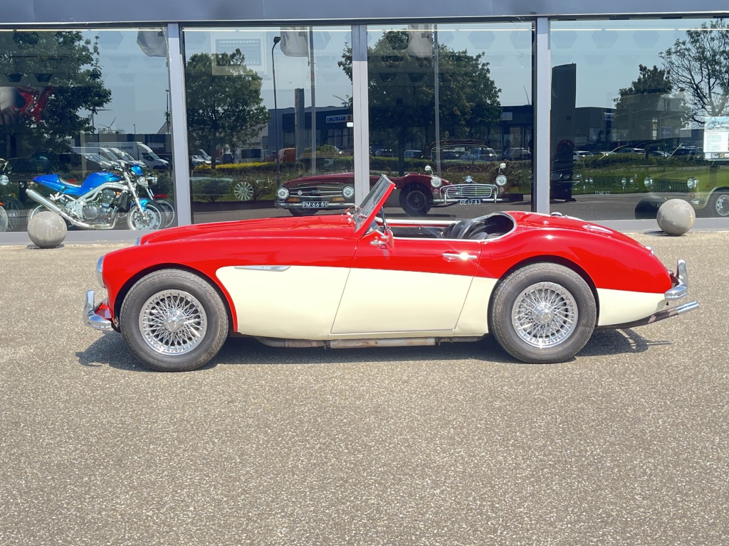 Austin Healey Onbekend