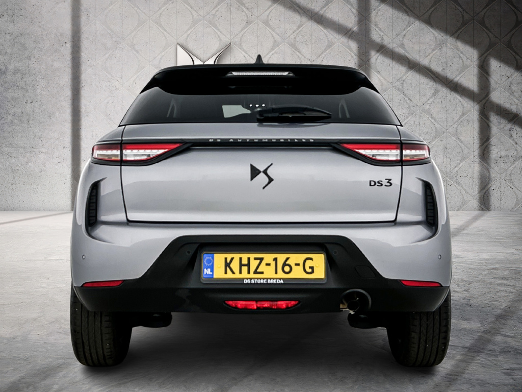 Ds Ds 3