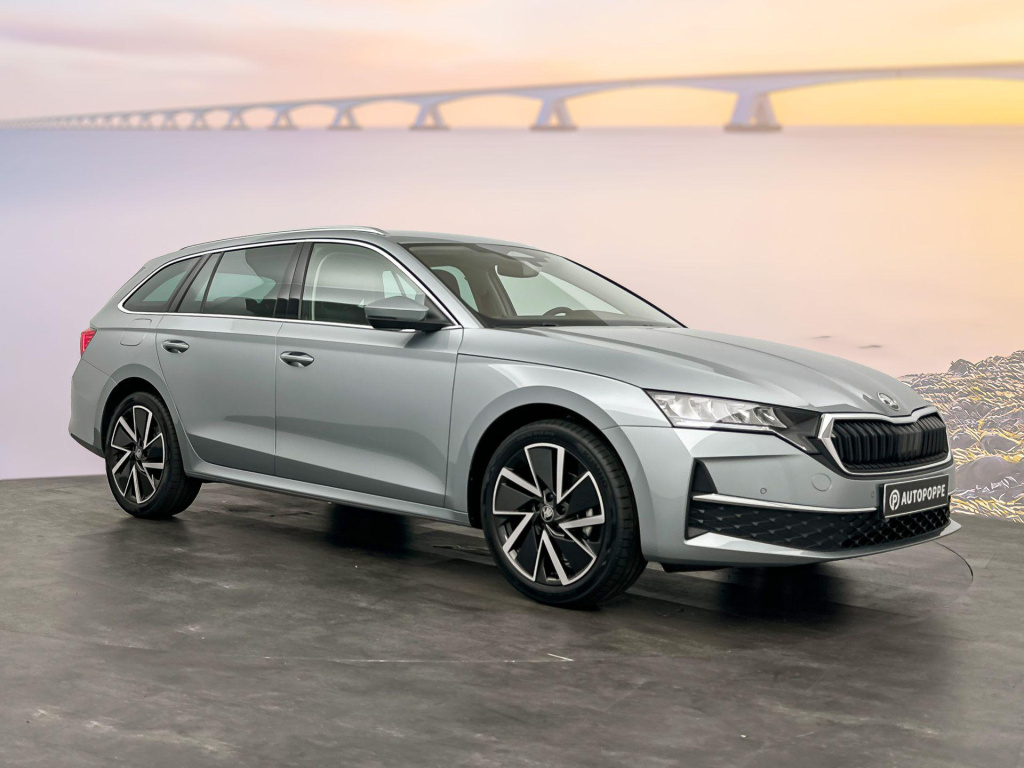Skoda Onbekend