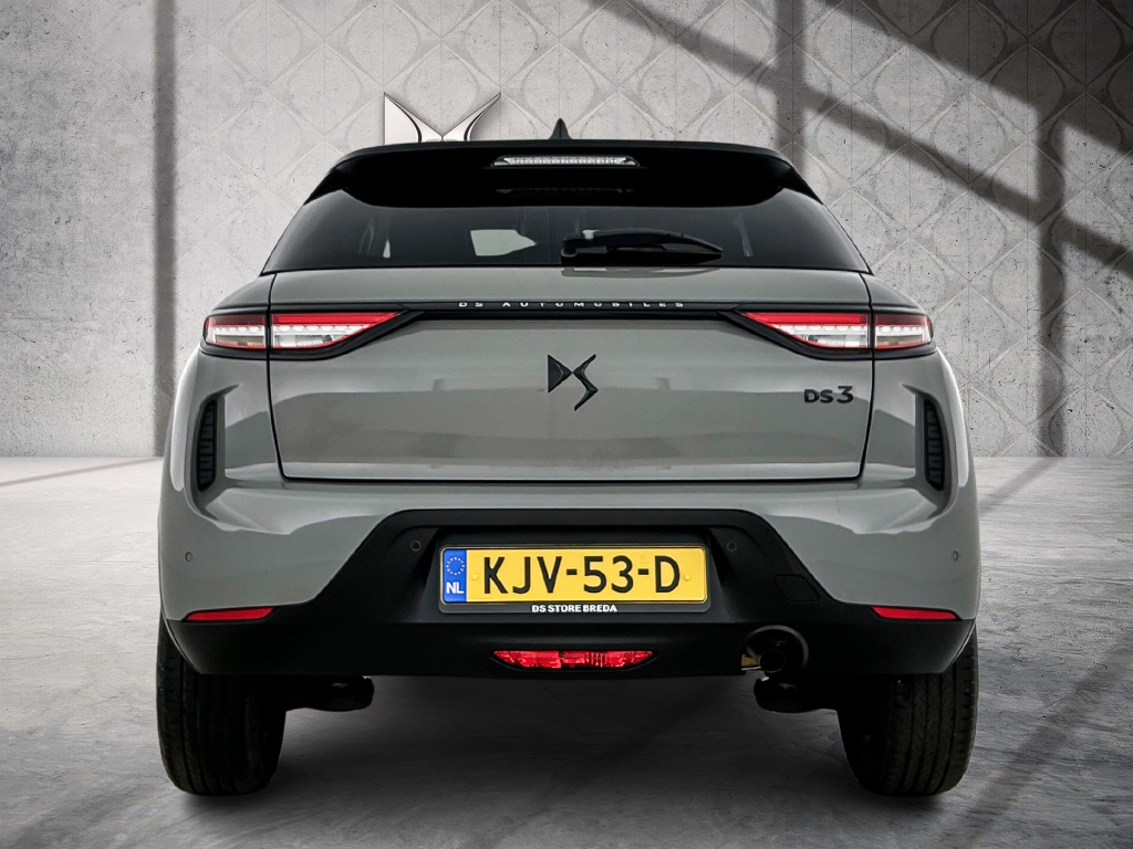 Ds Ds 3