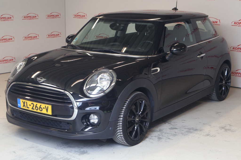Mini 3-deurs