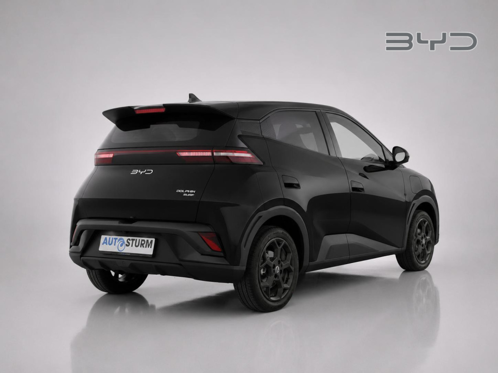 Byd Dolphin Surf