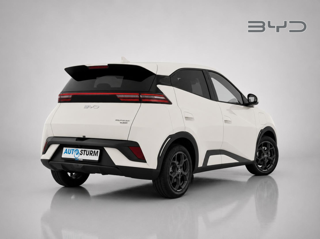 Byd Dolphin Surf