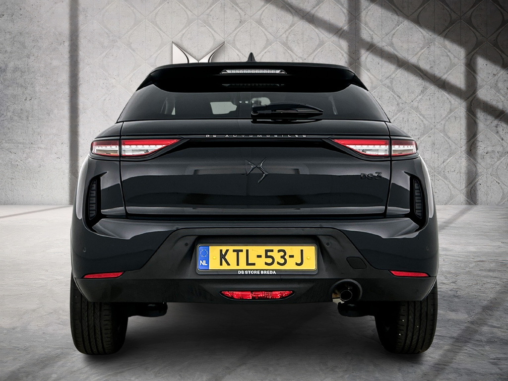Ds Ds 3