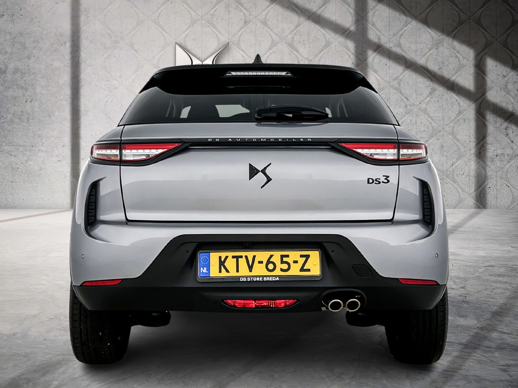 Ds Ds 3