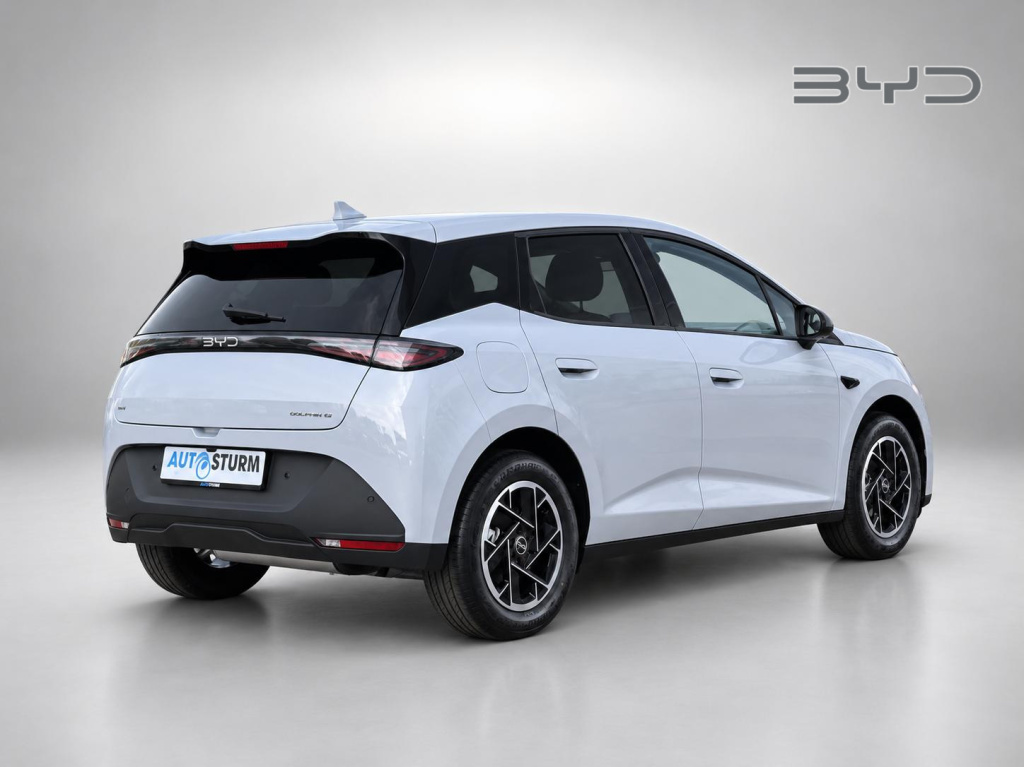 Byd Dolphin