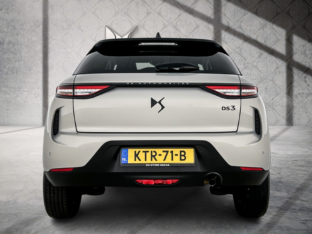 Ds Ds 3