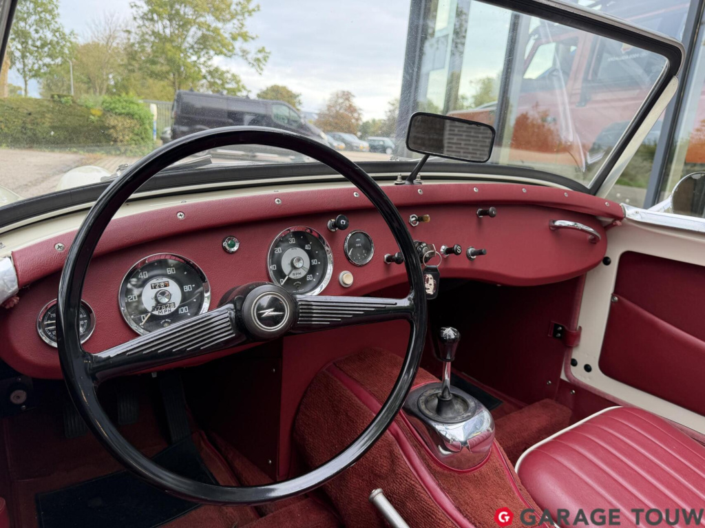Austin Healey Onbekend