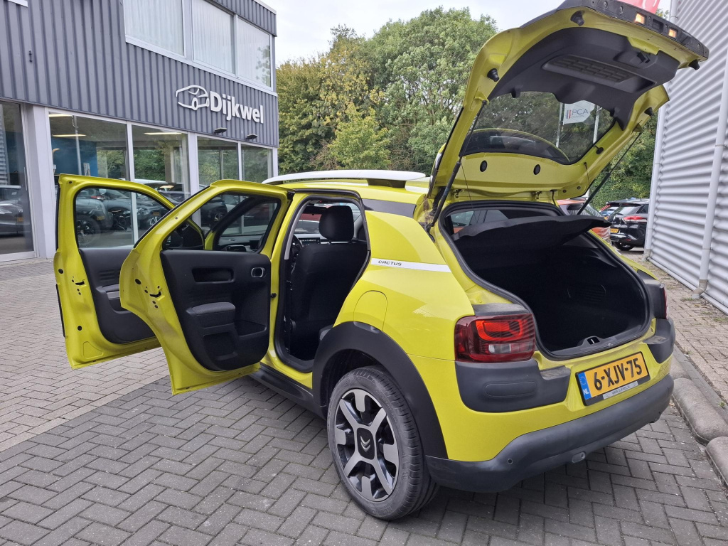 Citroen C4 Cactus