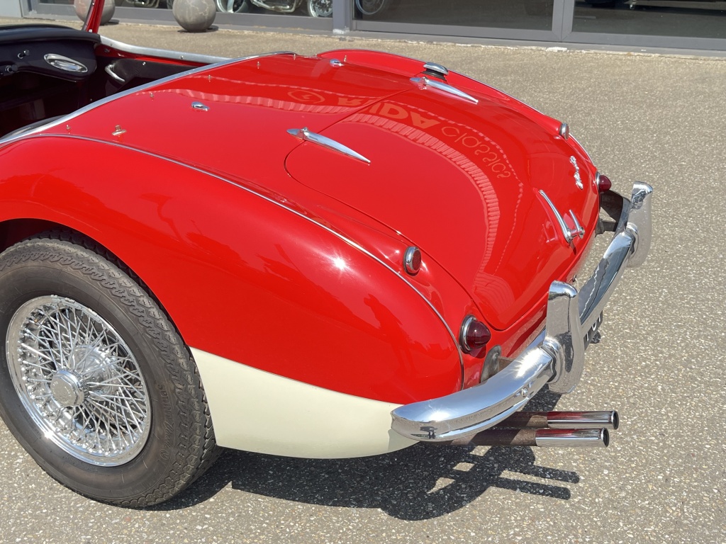 Austin Healey Onbekend