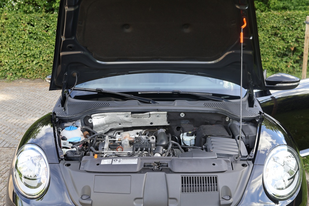 Volkswagen New Beetle