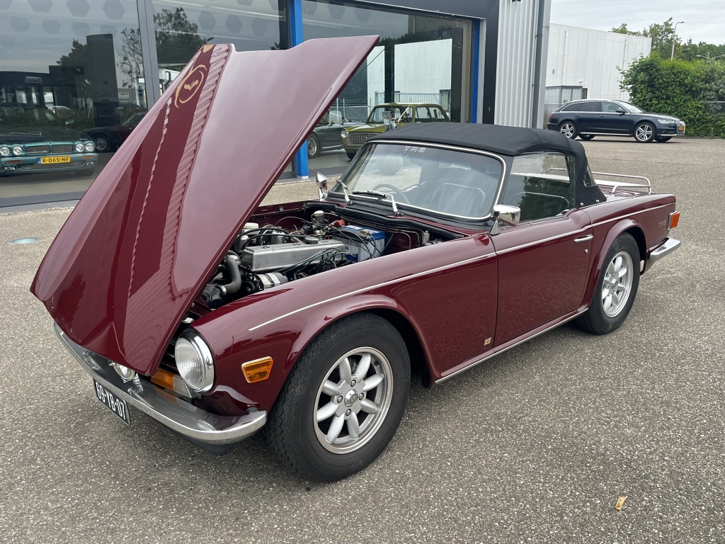 Triumph TR6