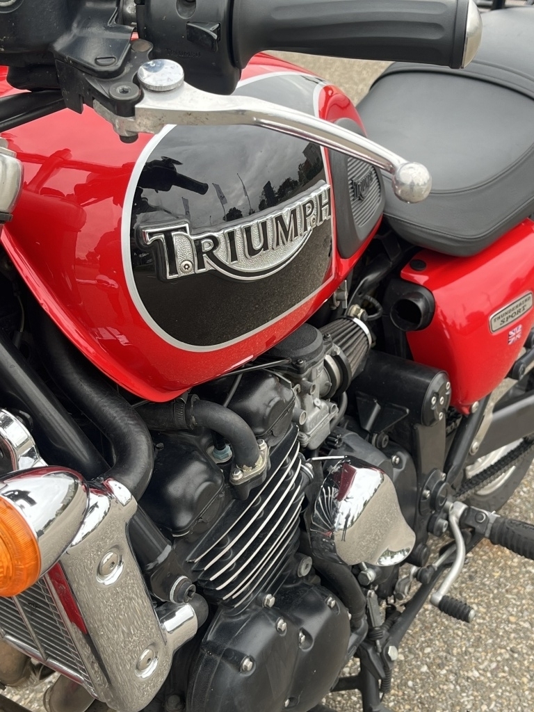 Triumph Thunderbird