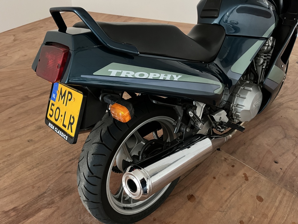 Triumph Trophy