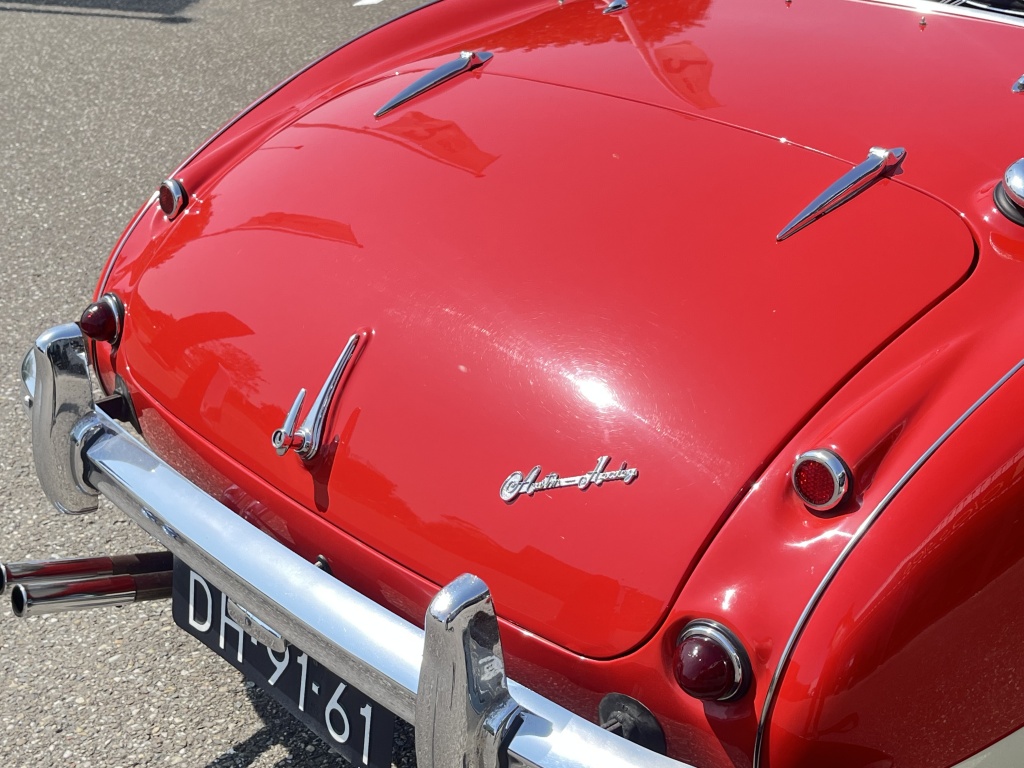Austin Healey Onbekend