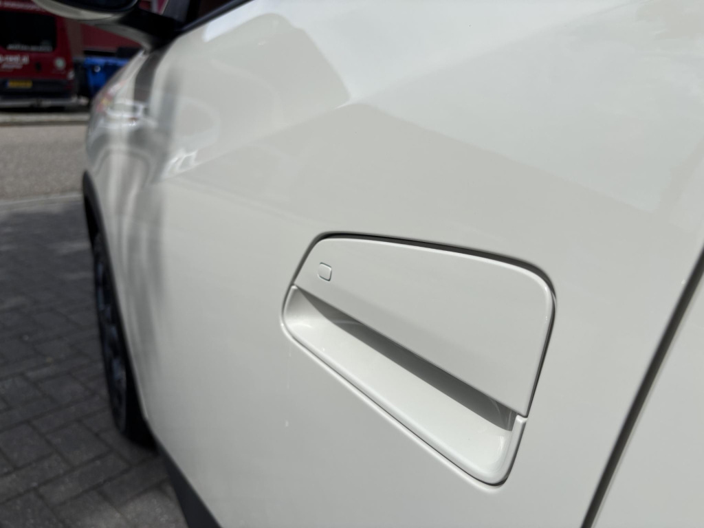 Byd Dolphin Surf