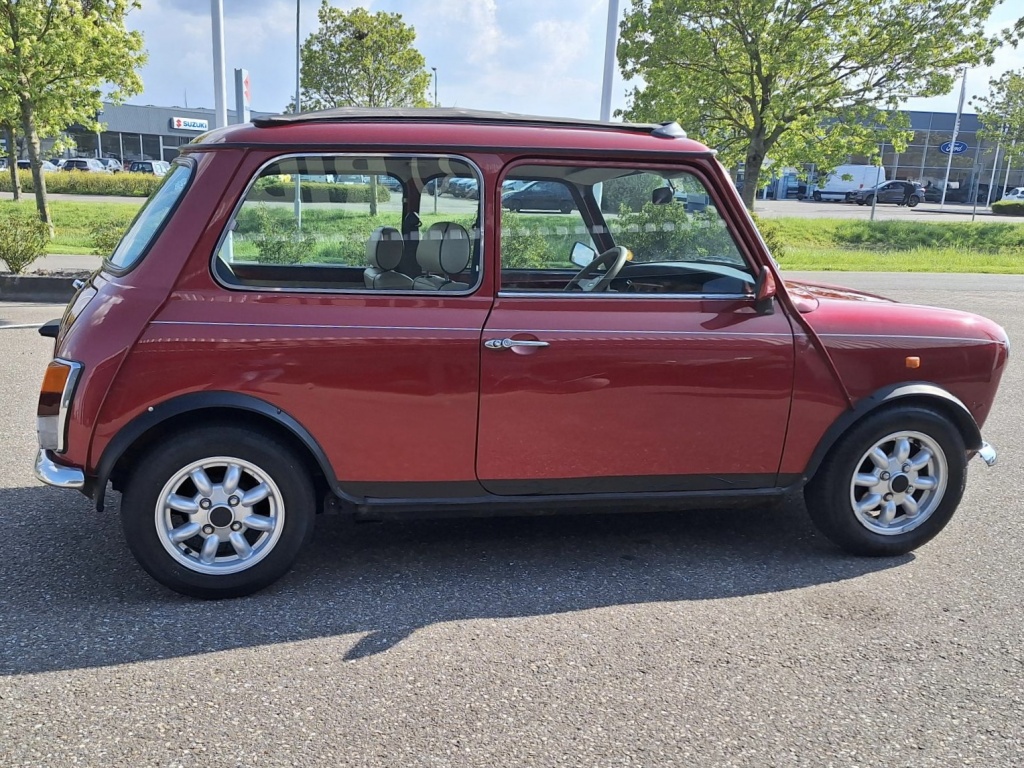 Mini Mini
