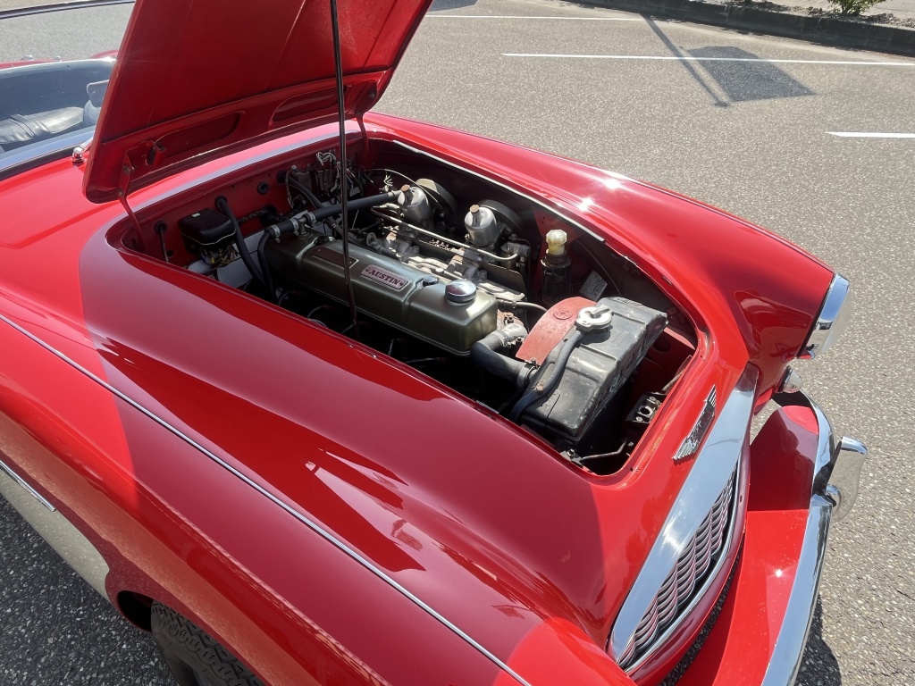 Austin Healey Onbekend