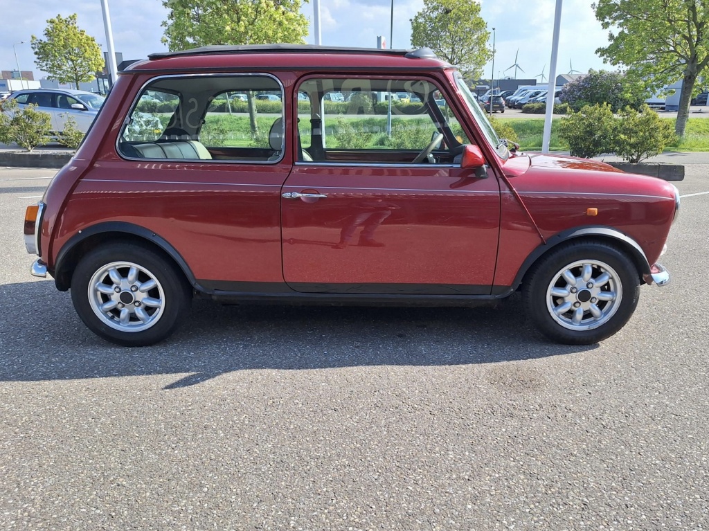 Mini Mini