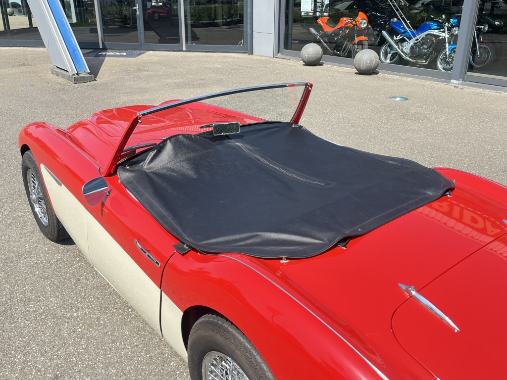Austin Healey Onbekend