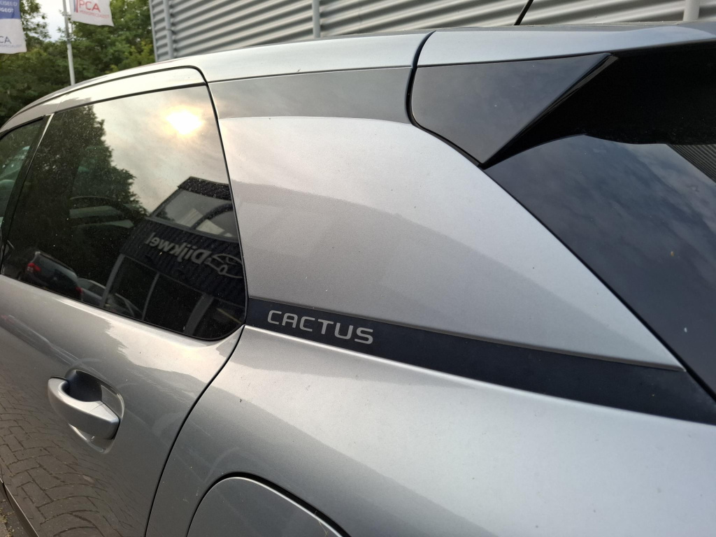 Citroen C4 Cactus
