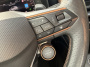 Cupra Formentor 2.0 tsi 4drive 418pk | full options | stage 1 & dsg stage 2 | el