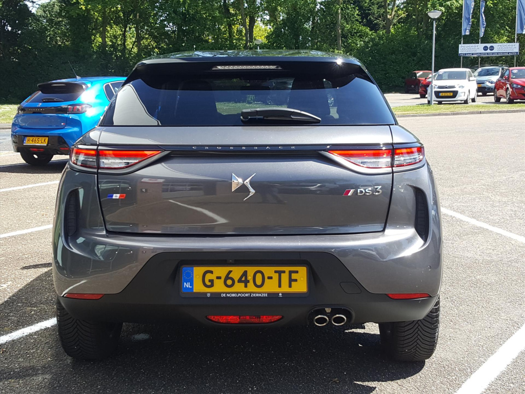 Ds Ds 3