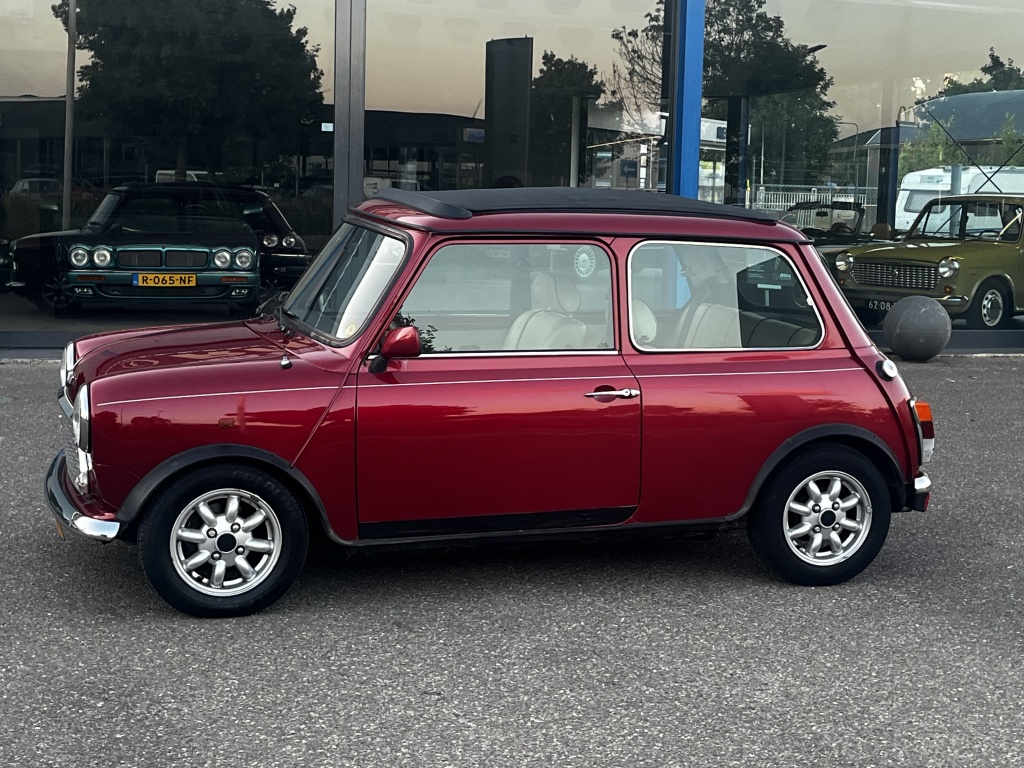 Mini Mini