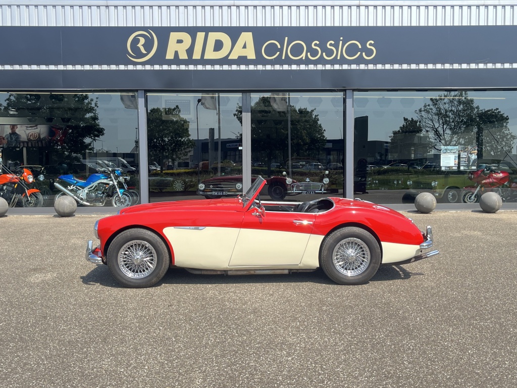 Austin Healey Onbekend