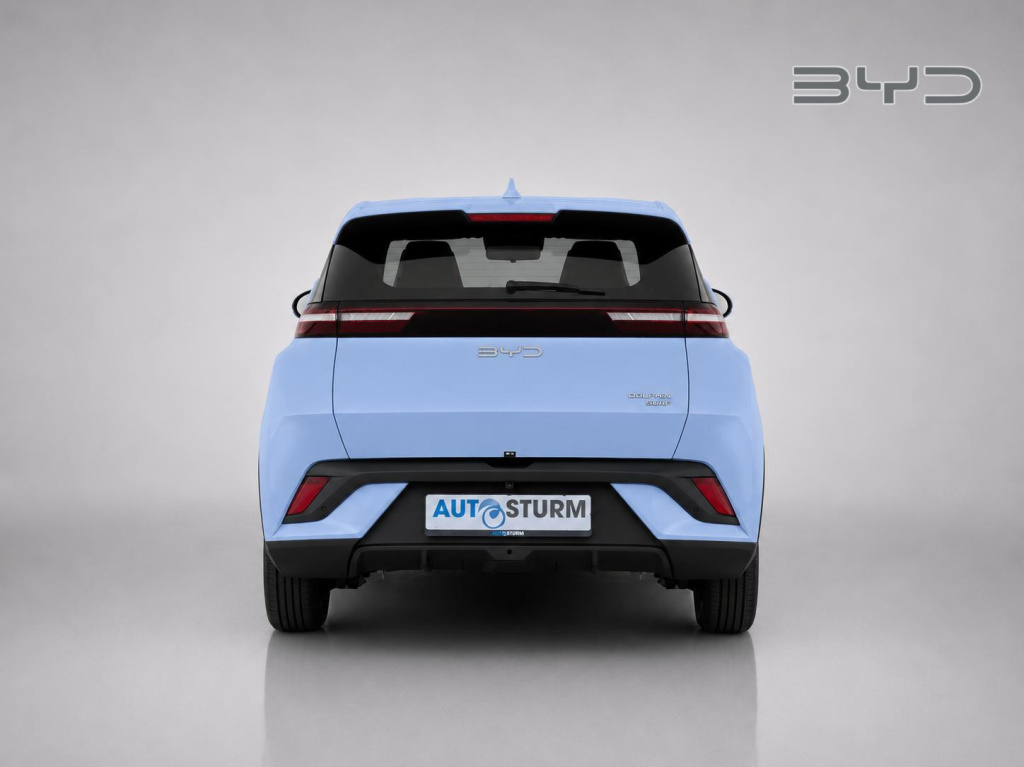 Byd Dolphin Surf