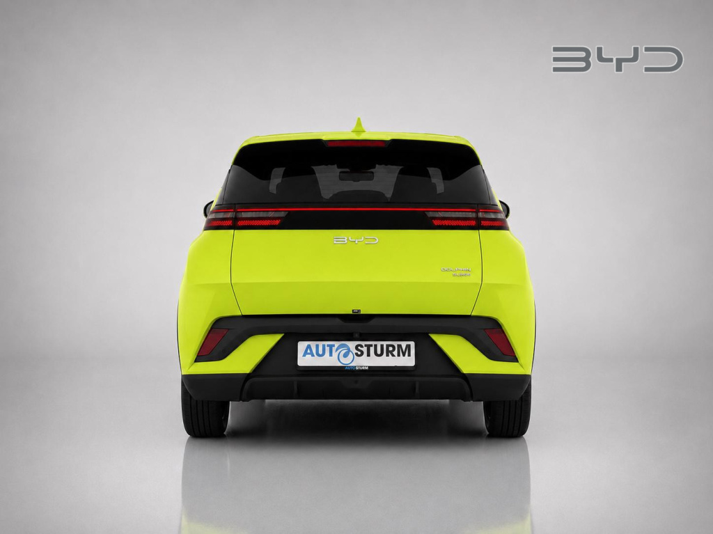 Byd Dolphin Surf