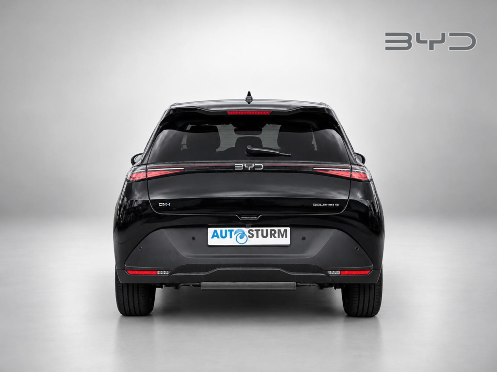 Byd Dolphin