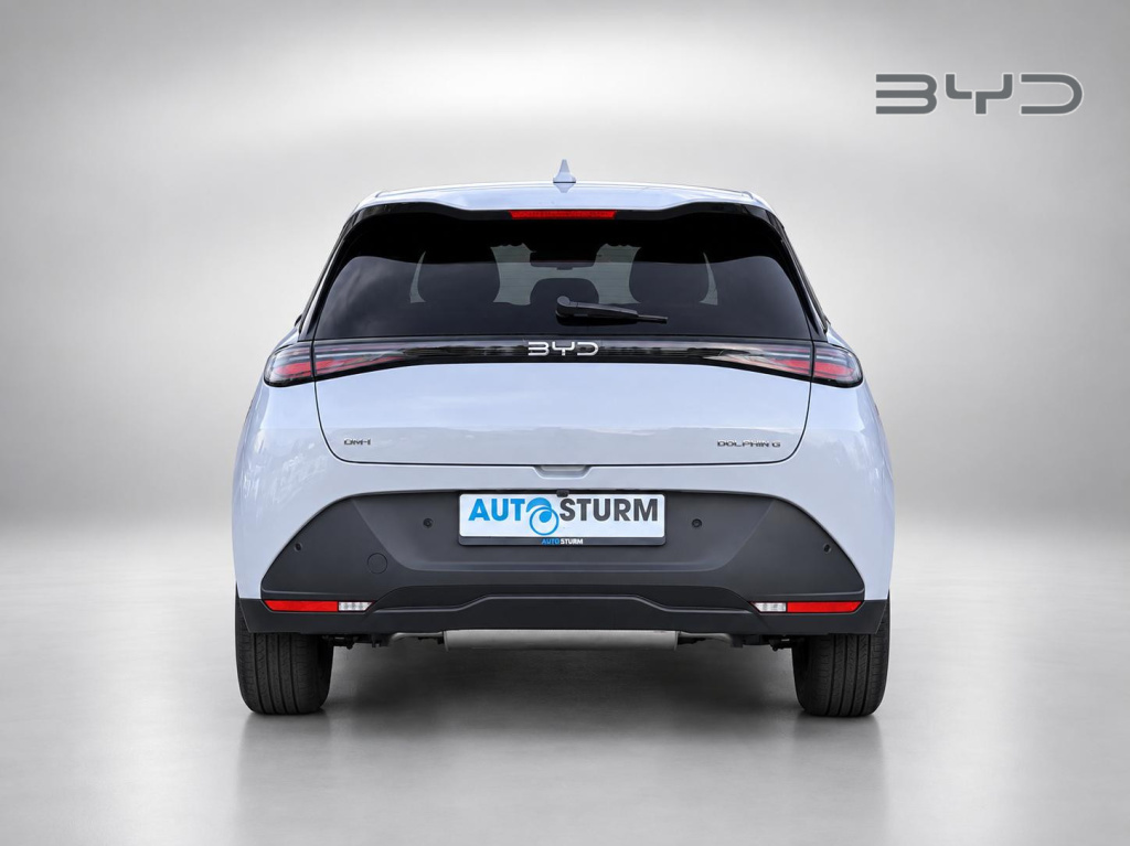 Byd Dolphin