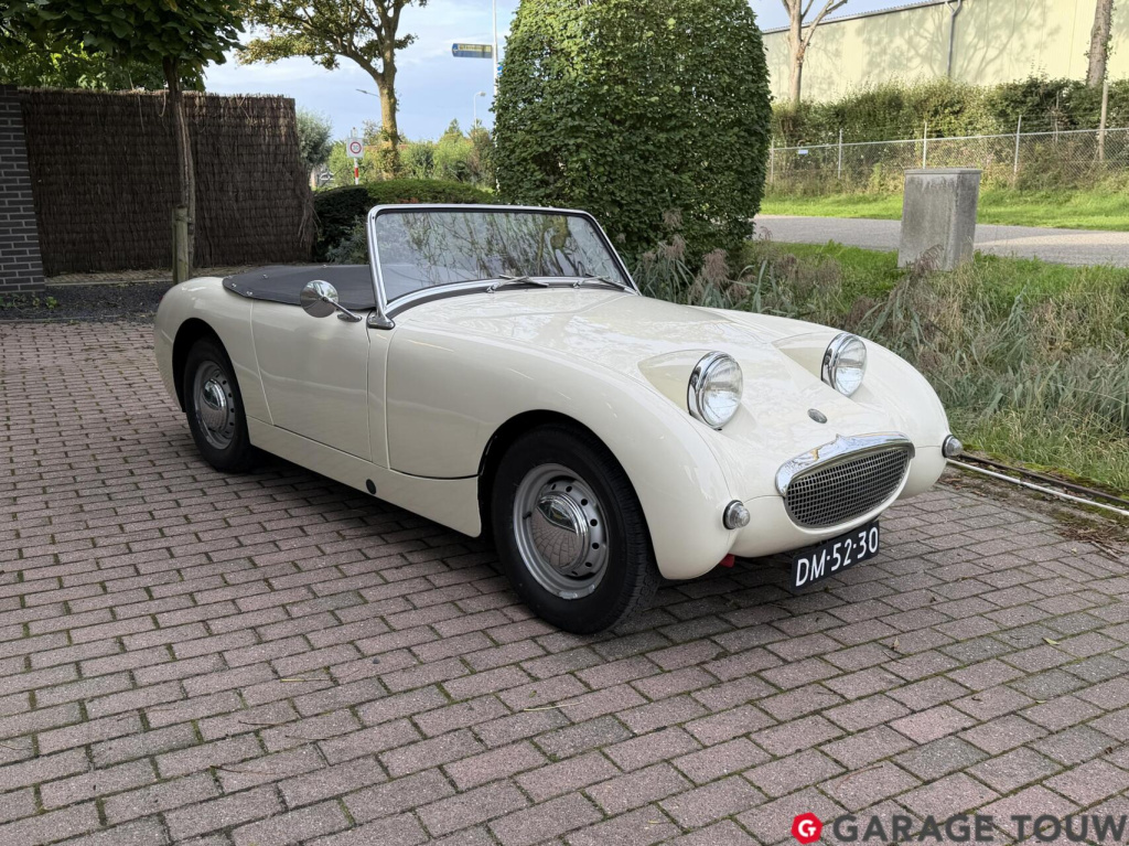 Austin Healey Onbekend